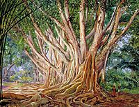 Avenue of Indian Rubber Trees at Peradeniya, Ceylon, 1877, north