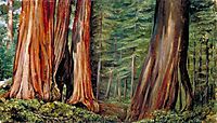 The Mariposa Grove of Big Trees, California, 1875, north