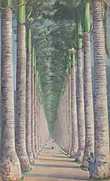 Royal Palm Avenue, 1872, north