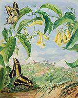 Yellow Bignonia and Swallow-Tail Butterflies with a View of Congonhas, Brazil, north