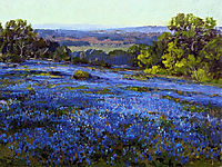 Bluebonnets, Late Afternoon, North of San Antonio, 1920, onderdonk