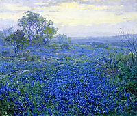 A Cloudy Day, Bluebonnets near San Antonio, Texas, 1918, onderdonk