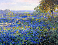 Fields of Bluebonnets, 1920, onderdonk