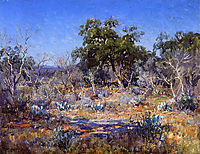 A January Day in the Brush Country, 1922, onderdonk
