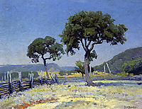 Live Oak Trees on Williams- Ranch, Bandera County, 1915, onderdonk