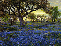 Old Live Oak Tree and Bluebonnets on the West Texas Military Grounds, San Antonio, 1920, onderdonk