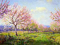 Peach Orchard on Mavericks Farm, 1915, onderdonk