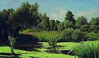 The landscape. The reeds in the river., c.1890, orlovsky