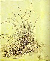 Grass, 1812, orlowski