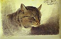 Head of a Cat, 1823, orlowski