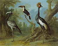 Demoiselle Crane, Toucan, and Tufted Crane, 1745, oudry