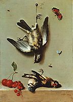 Nature morte avec oiseux morts et cerises, 1712, oudry