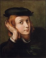 Portrait of a Young Man , parmigianino