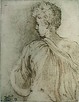 Young man seen from behind, face in profile, parmigianino
