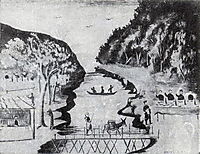 Bridge graft (Viris Hidy), pirosmani