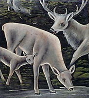 Deer family at waterhole, pirosmani