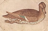 Duck, 1440, pisanello