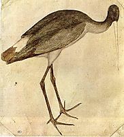 Stork, 1430, pisanello