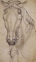 Study of the Head of a Horse, 1439, pisanello
