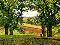 Chestnut Trees at Osny, 1873, pissarro