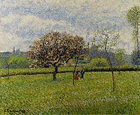 Flowering Apple Trees at Eragny, 1888, pissarro