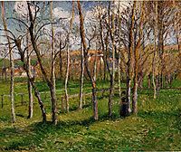 Meadow at Bazincourt, 1895, pissarro