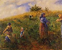 Picking Peas, 1880, pissarro