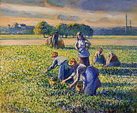Picking Peas, c.1887, pissarro