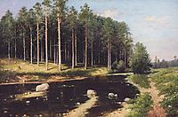 Pine Forest on the banks of the river, polenov