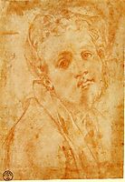 Self Portrait, c.1527, pontormo