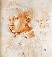 Study of a Boy Turning His Head, c.1529, pontormo
