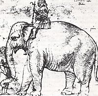 Hanno, The Pope’s Leo X Elephant , 1516, raphael