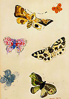 Butterflies, redon