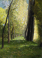 Lane of Trees, redon