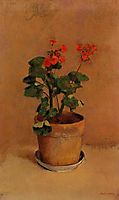 A Pot of Geraniums, redon