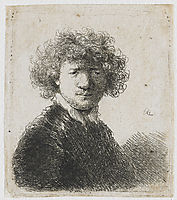 Bust of an old man with a flowing beard, the head bowed forward, the left shoulder unshaded, 1630, rembrandt