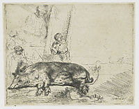 The hog, 1643, rembrandt