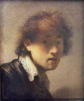 Self-portrait at an early age, 1629, rembrandt