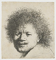 Self-portrait with long bushy hair, 1631, rembrandt
