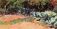 The Cabbage Patch, 1891, rose