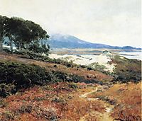 Carmel Dunes, rose