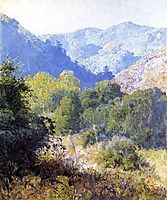 View in the San Gabriel Mountains, rose