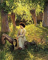 Warm Afternoon, 1910, rose