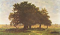 Holm Oaks, Apremont, 1852, rousseautheodore