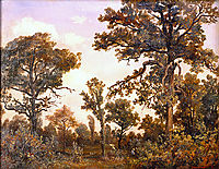 The Large Oak Tree, Forest of Fontainebleau, 1839, rousseautheodore