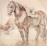 Etude of horse, c.1620, rubens