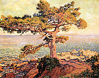 Pine by the Mediterranean Sea, 1916, rysselberghe