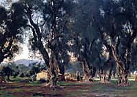 Olive Trees at Corfu, 1909, sargent