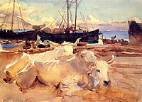 Oxen on the Beach at Baia, c.1908, sargent