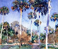 Palms, 1917, sargent